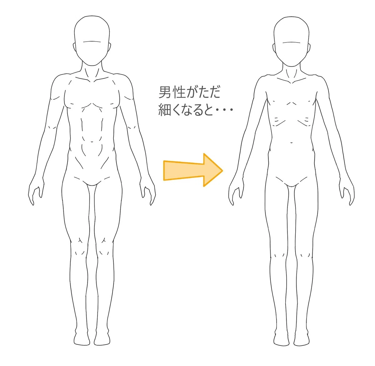 男性が細くなると