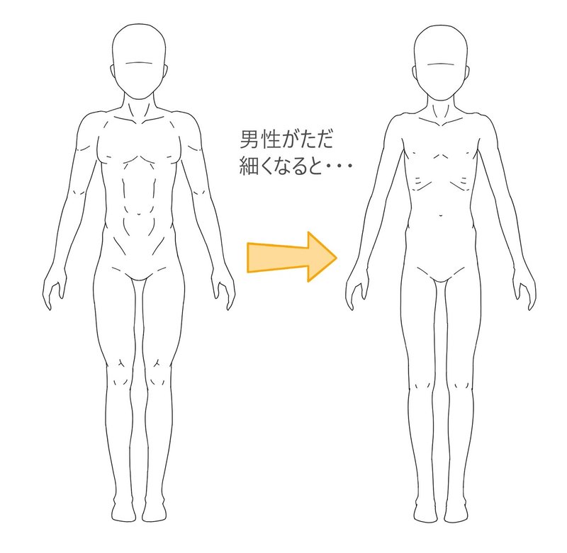 男性が細くなると