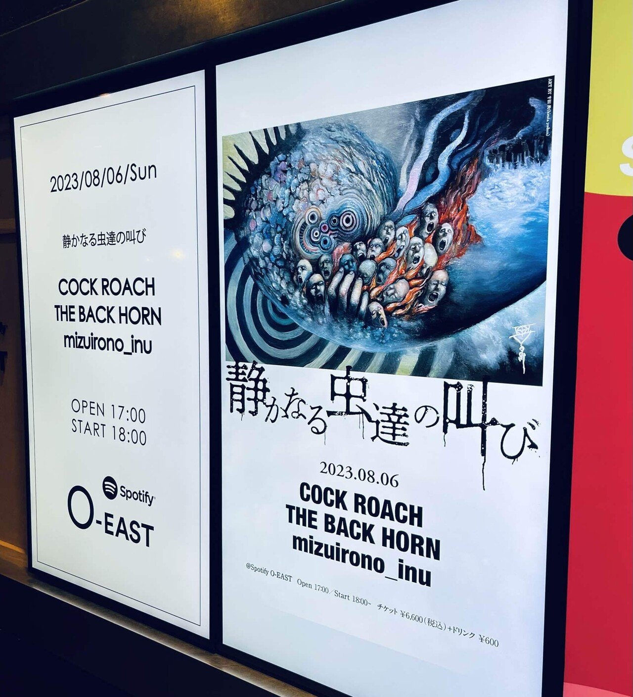 生を追え 志に進め｜深夜のコネチカール