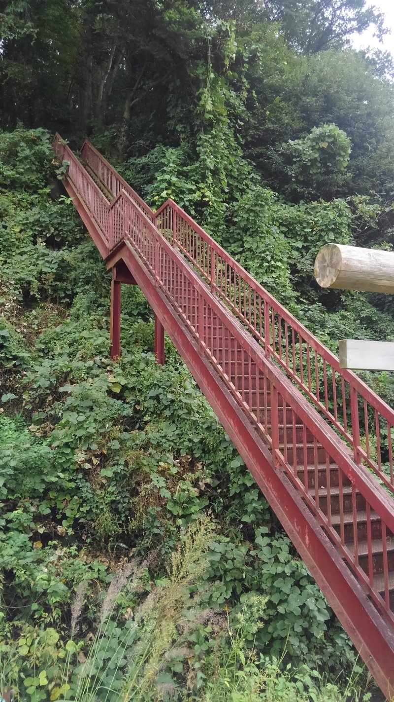 天日鷲神社 (3)