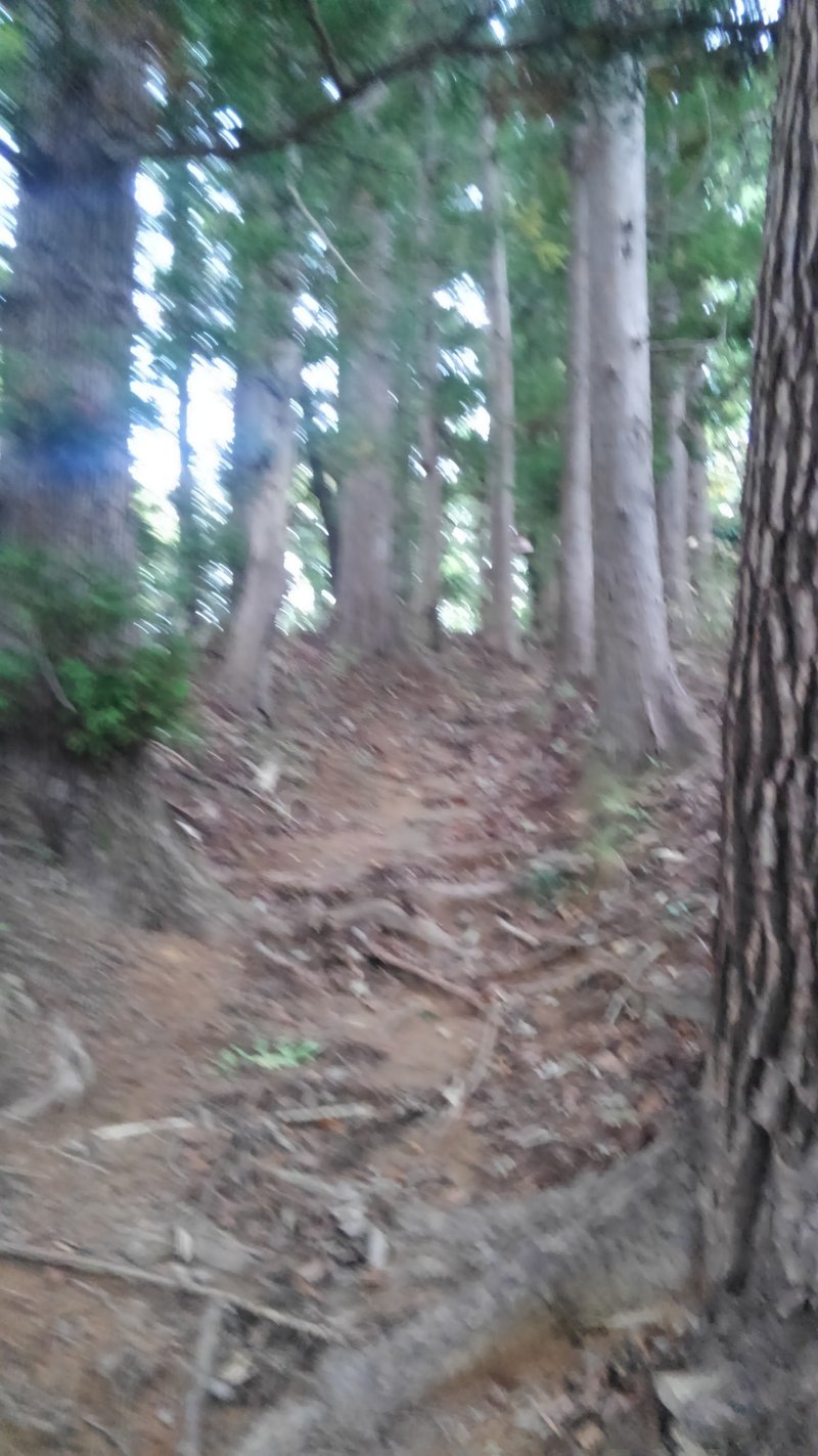 天日鷲神社 (19)