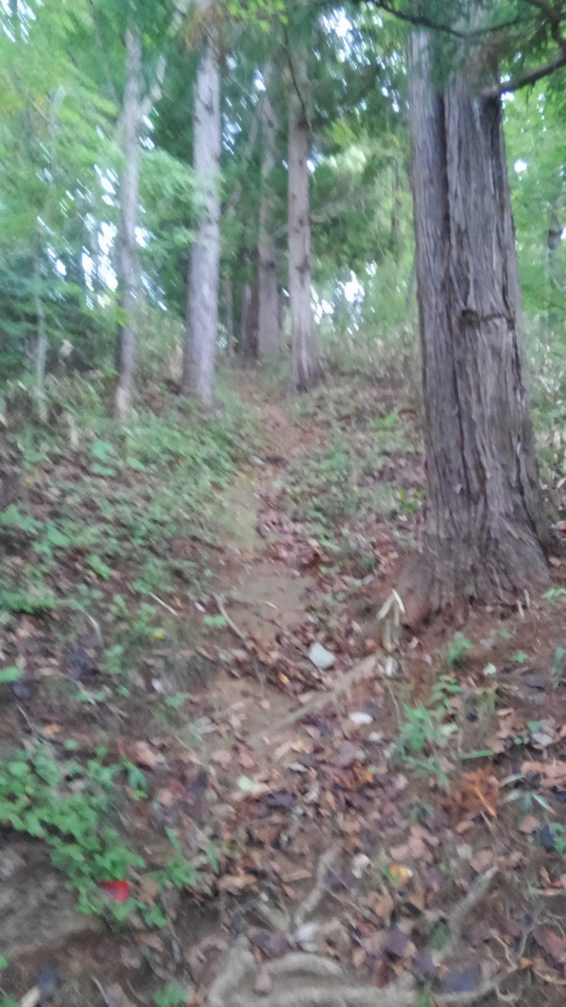 天日鷲神社 (18)