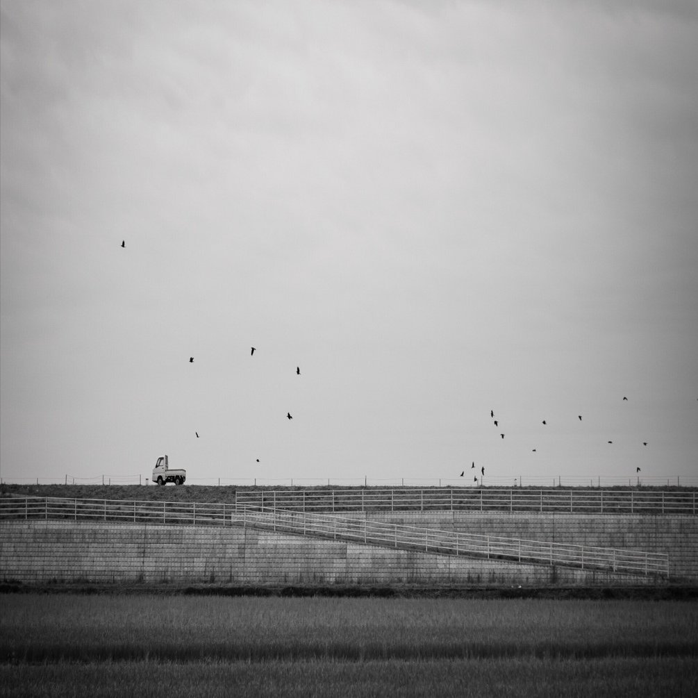 田園風景を撮りながら半年経ったNikon Z 50を考える｜Omori 