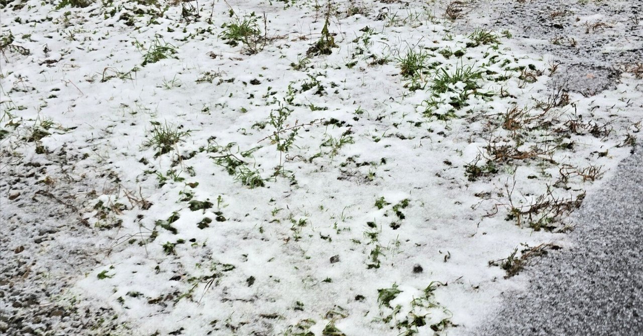 雪ふった｜くりす