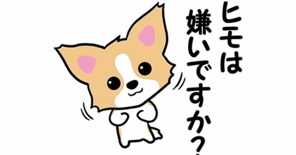 ひもチワワの名前の由来 ひもチワワ Note