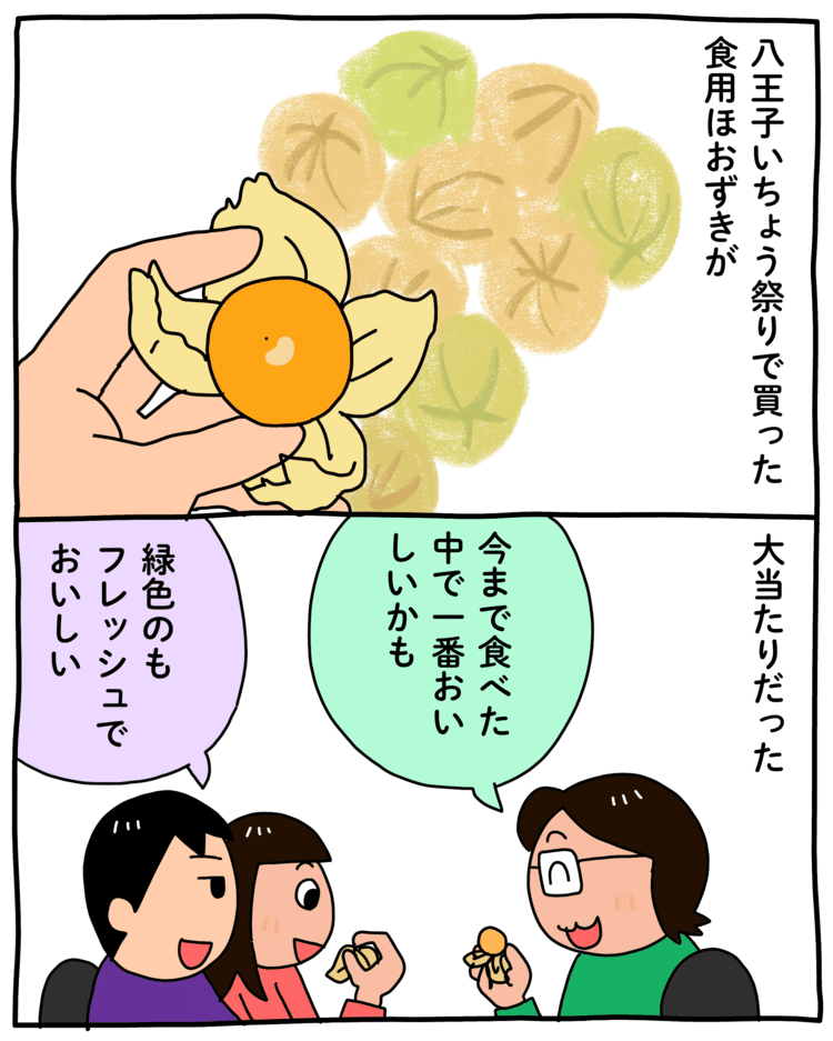 食用ほおずき の新着タグ記事一覧 Note つくる つながる とどける 食用ほおずき の新着タグ記事一覧 Note つくる つながる とどける