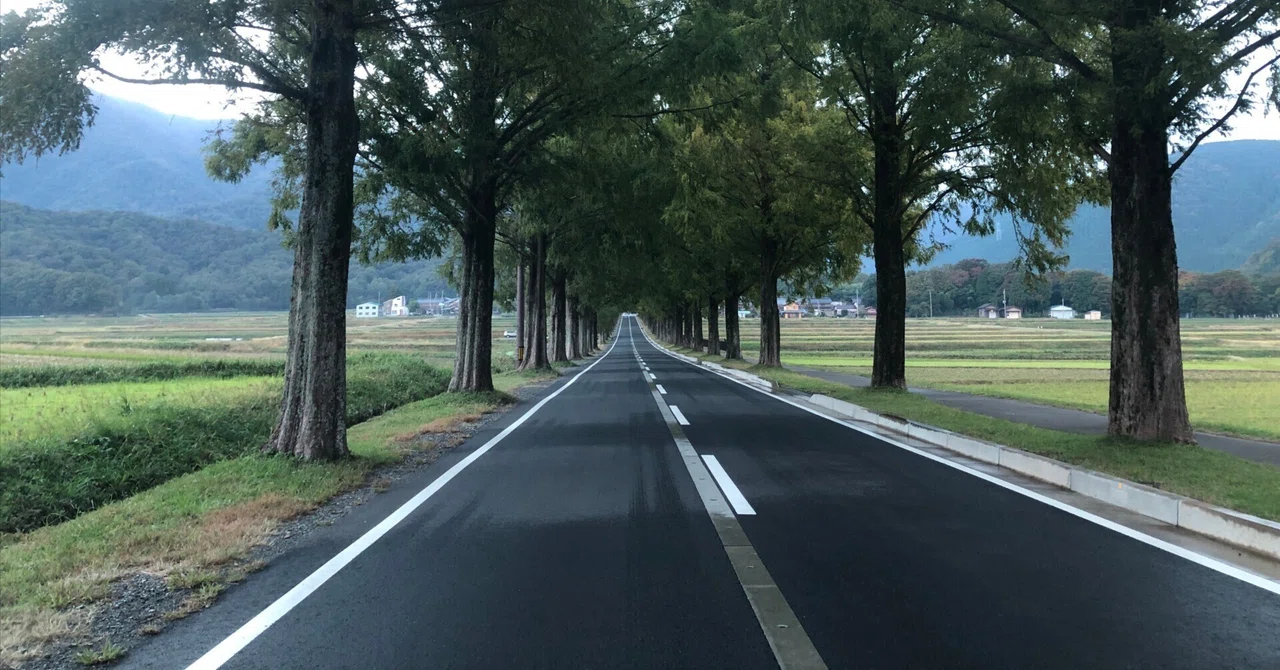 禅の道（17）全てと共に生きる道｜念水庵