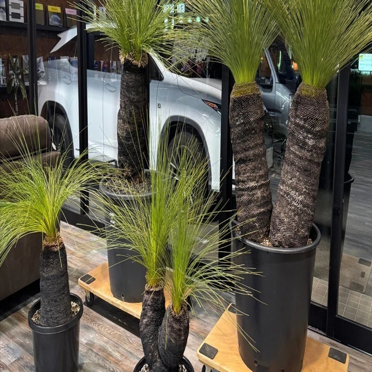 e-Gardenのロゴには・・・｜e-Garden【イーガーデン】-浜松市-ロック