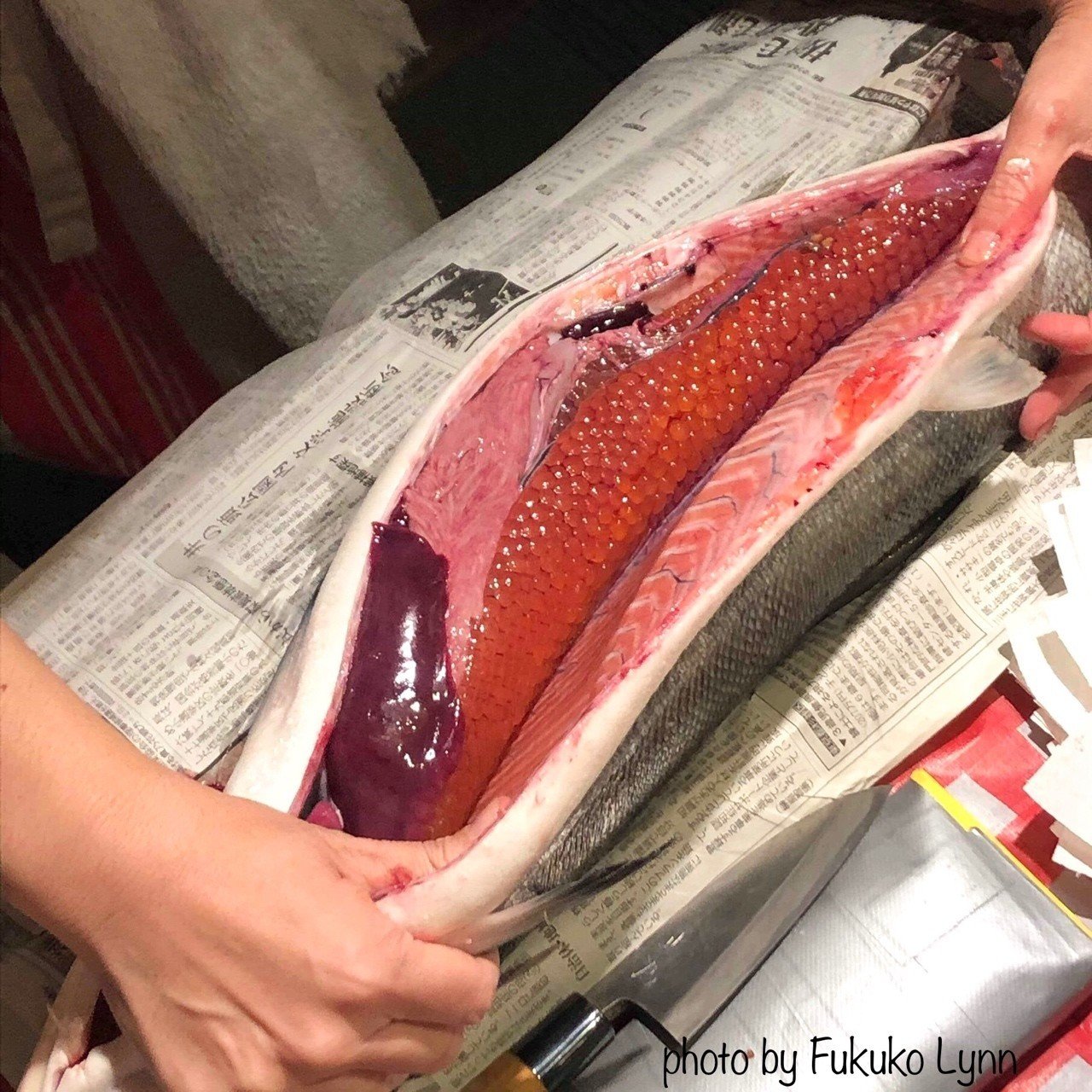 鮭を一尾 丸ごと食べ尽くす 古谷 真知子 家庭料理コンサルタント Note