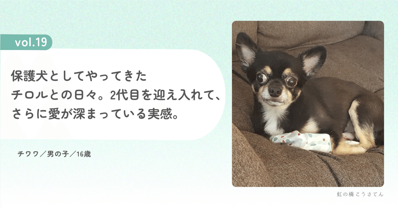 Vol.19｜保護犬としてやってきたチロルとの日々。2代目を