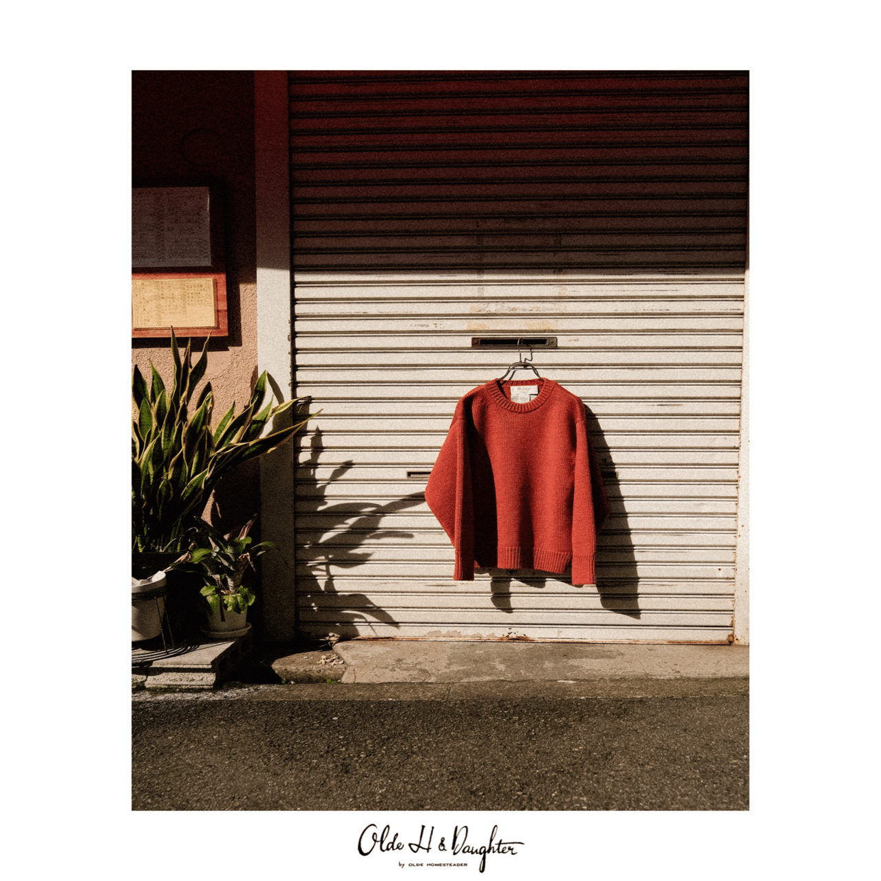 俺のオレンジ②｜y_s_k117