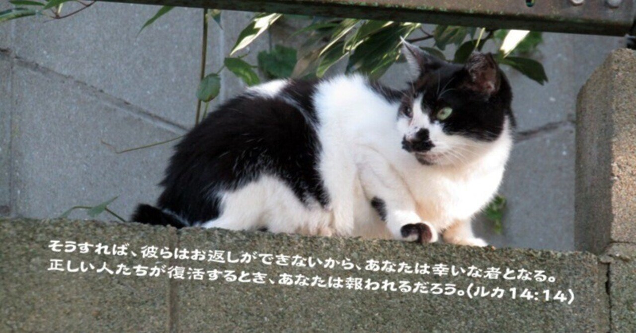 見返りを求めるさもしさ｜たかぱん