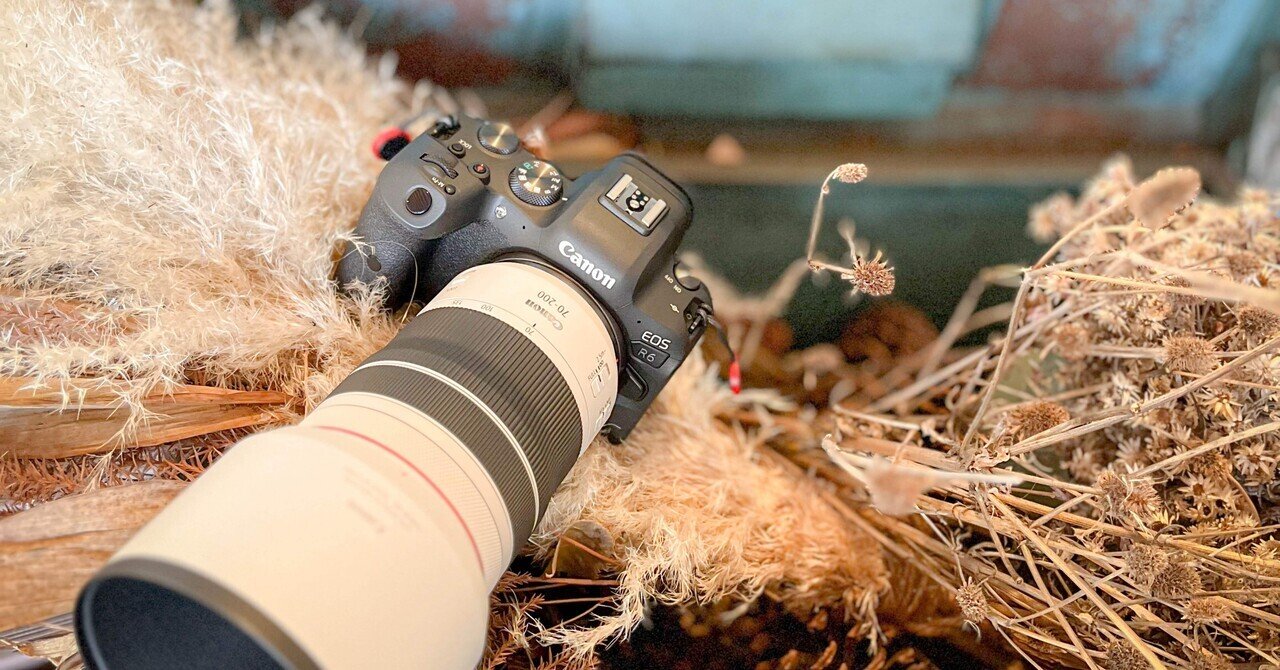 私がキヤノンRFマウントから完全撤退した理由｜Alice_photolog
