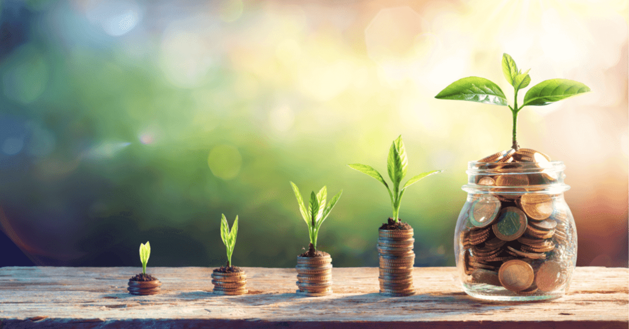 泉忠司のシン・ニホン創世プロジェクトは初心者にも安心？35歳会社員の資産形成体験｜ample_tapir3065