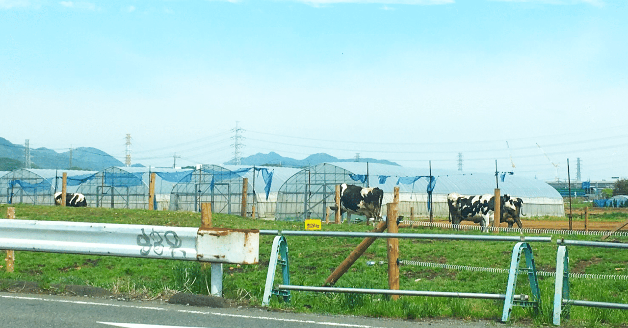 よいメンタリティを保つために らも Note