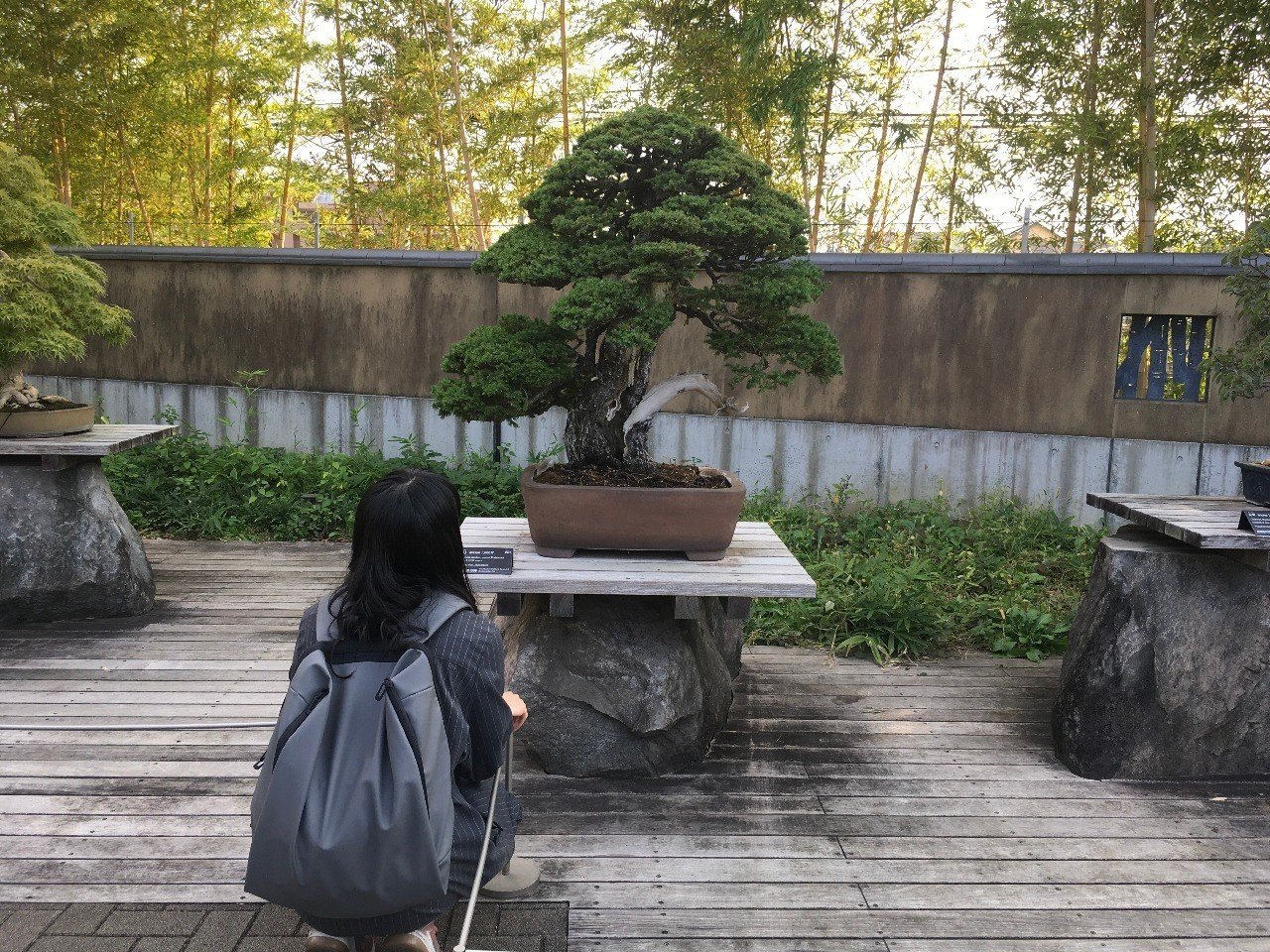 dbd246fe66f70ef71cad7836da129f