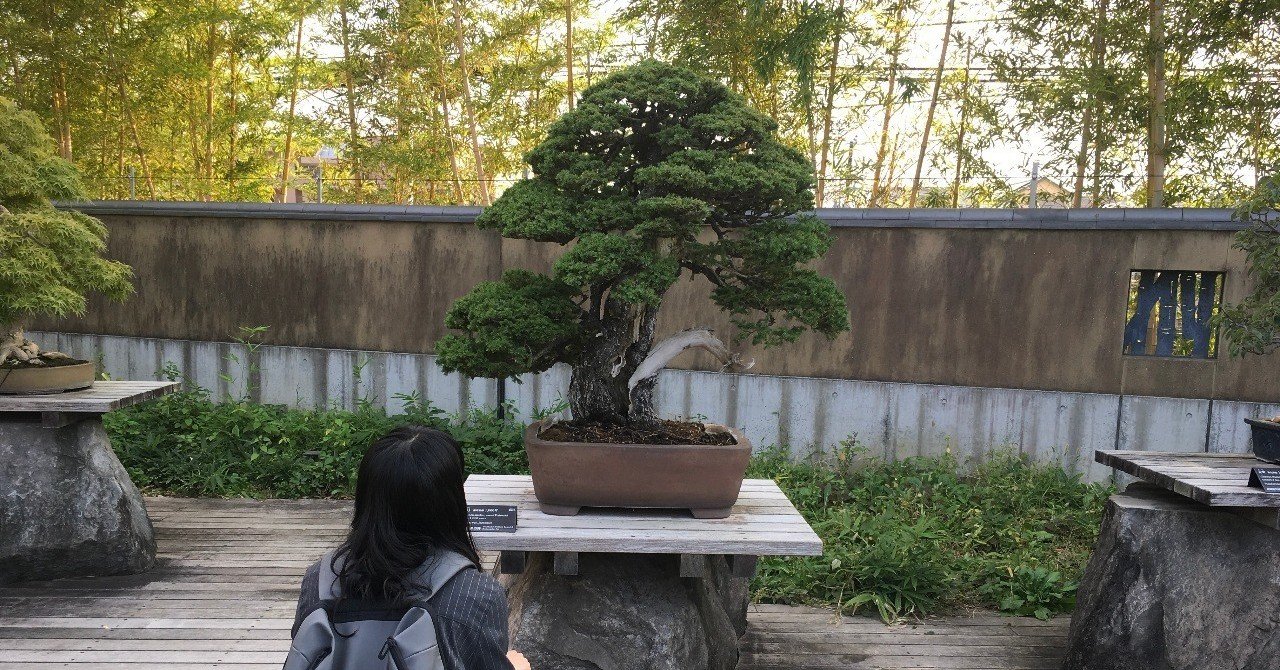 parkERsの課外授業vol.3】世界トレンド「盆栽 BONSAI」の体感で起こる