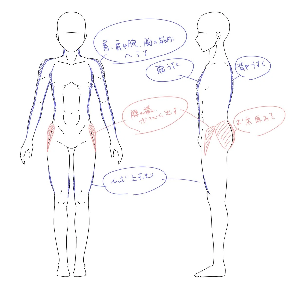 設計図