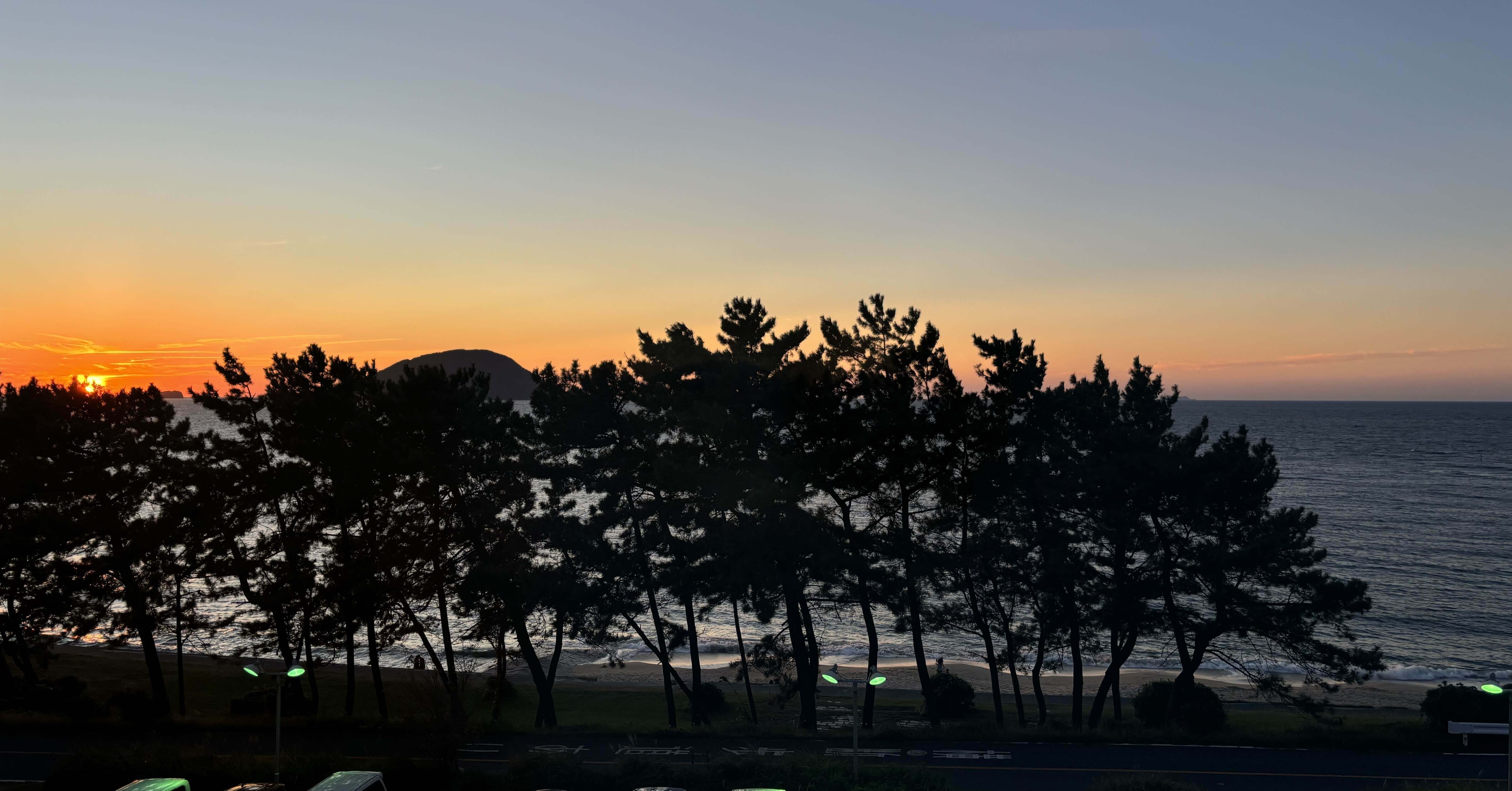 singing♪PHN｜note