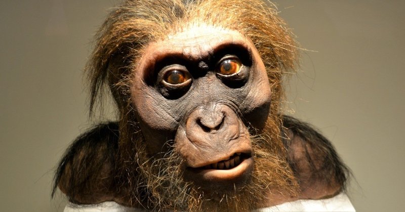 どうやって人類はここまで発展したのか cg it入門の人 note