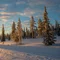 nature picture
