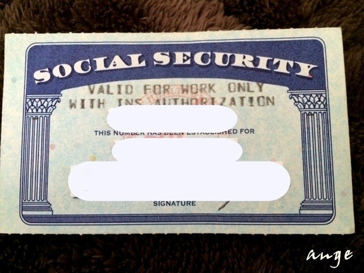 アメリカの社会保障番号です！　まだ使えると思います...たぶん