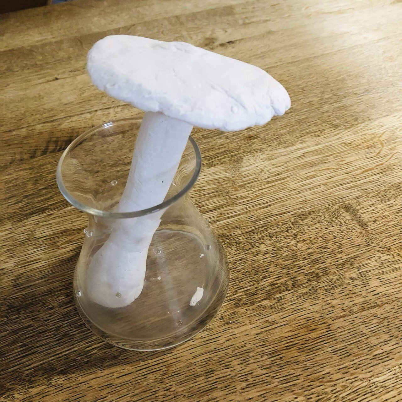 2【僕、作ってみた】きのこ｜mika🌼