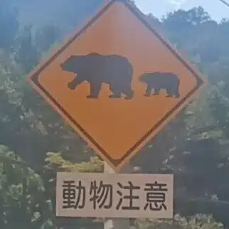 本音の感懐を虚心に吐露