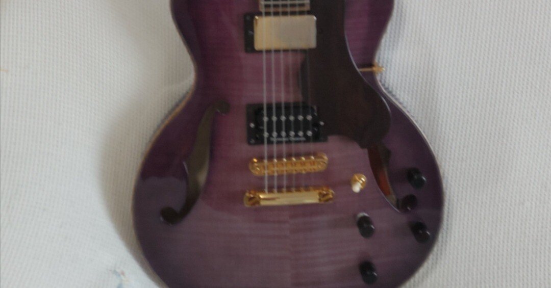 STORK オーダーギター 単板削出しトップ スルーネック ホロウボディ