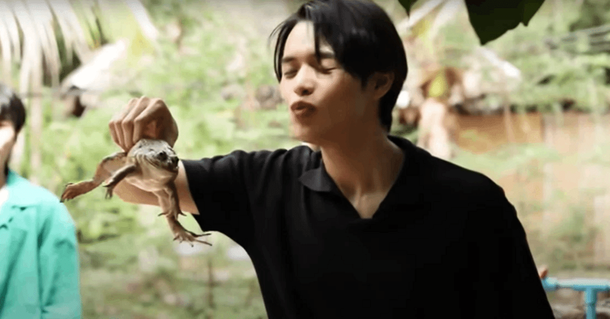 HIGH SEASON Season2 RAINY 【Poon Mitpakdee】➁｜𝕡𝕖𝕟𝕘𝕦𝕚𝕟 