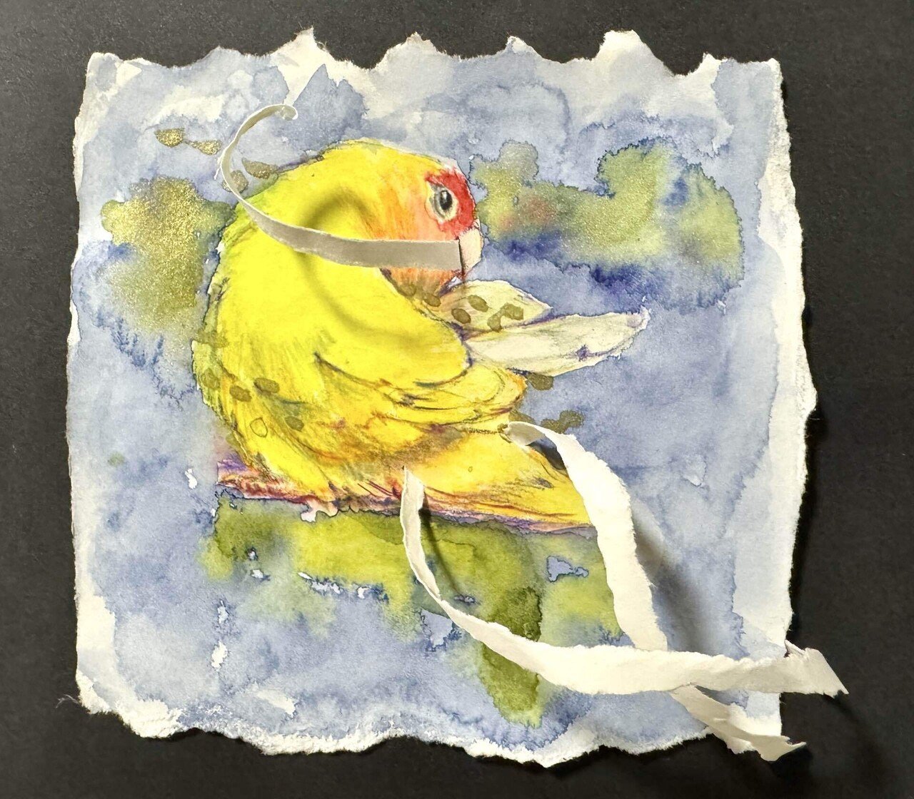 コザクラインコ(#153)｜Ako(@akolamble)