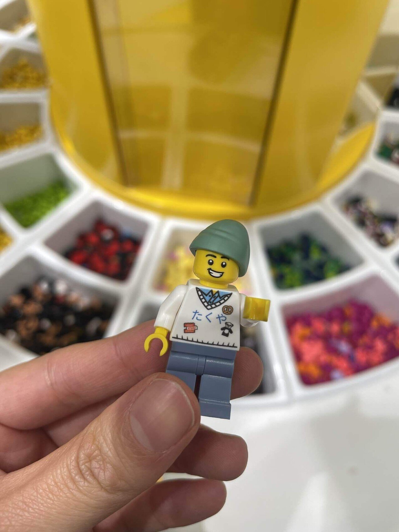 ヤマトタマムシ 幼虫 10頭セット