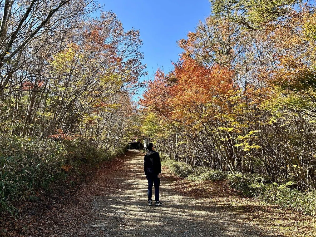 紅葉の中歩く夫
