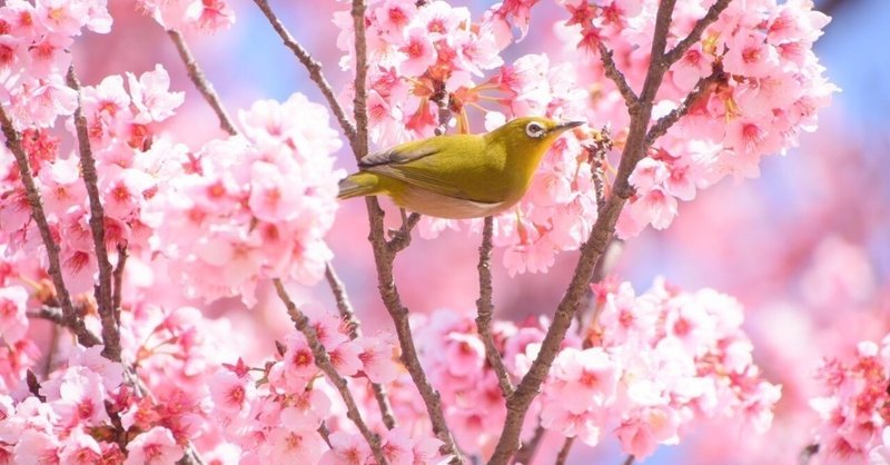 水樹奈々の好きな曲 2位以下がいっこうに定まらない 過去篇 ななし Note