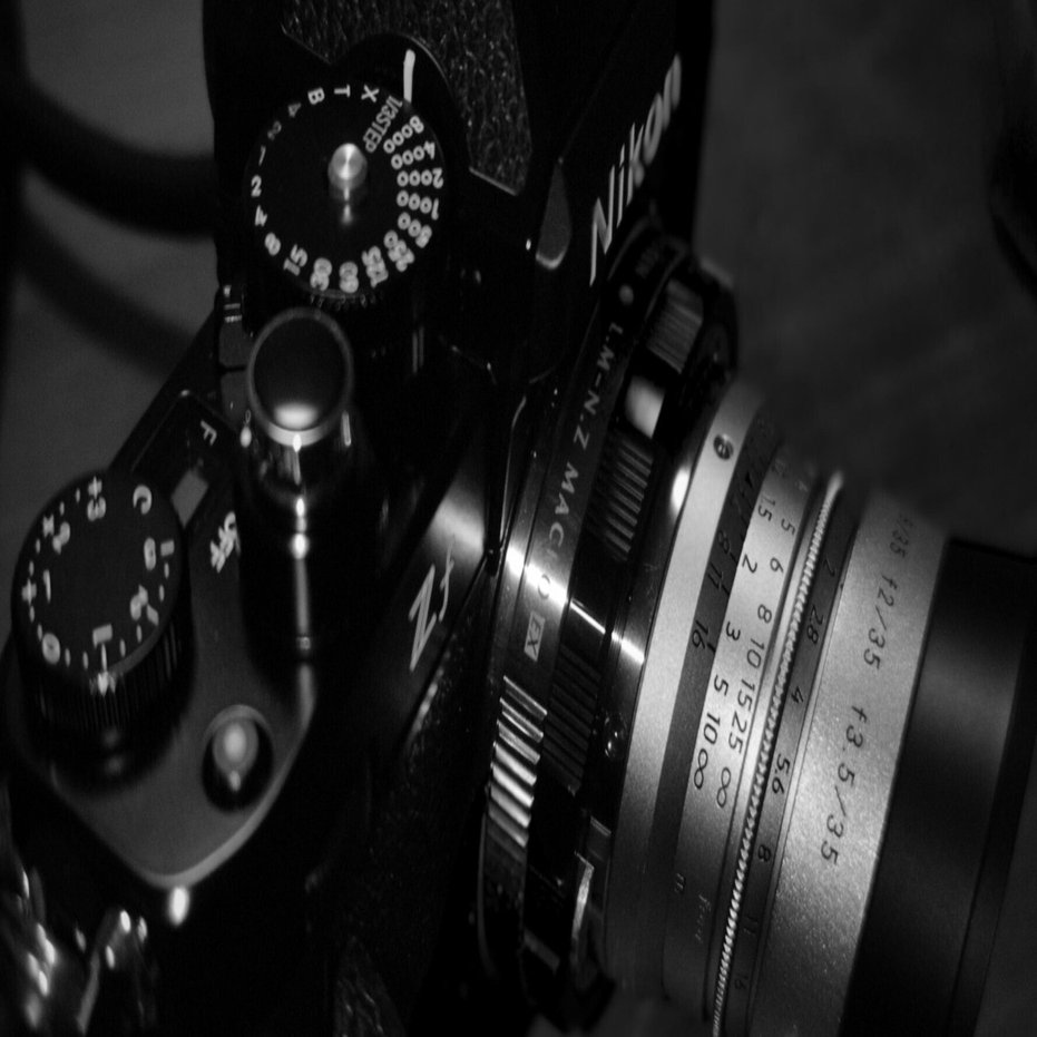 秋はまだか 周八枚+Nikon Zf｜Swan High 1114