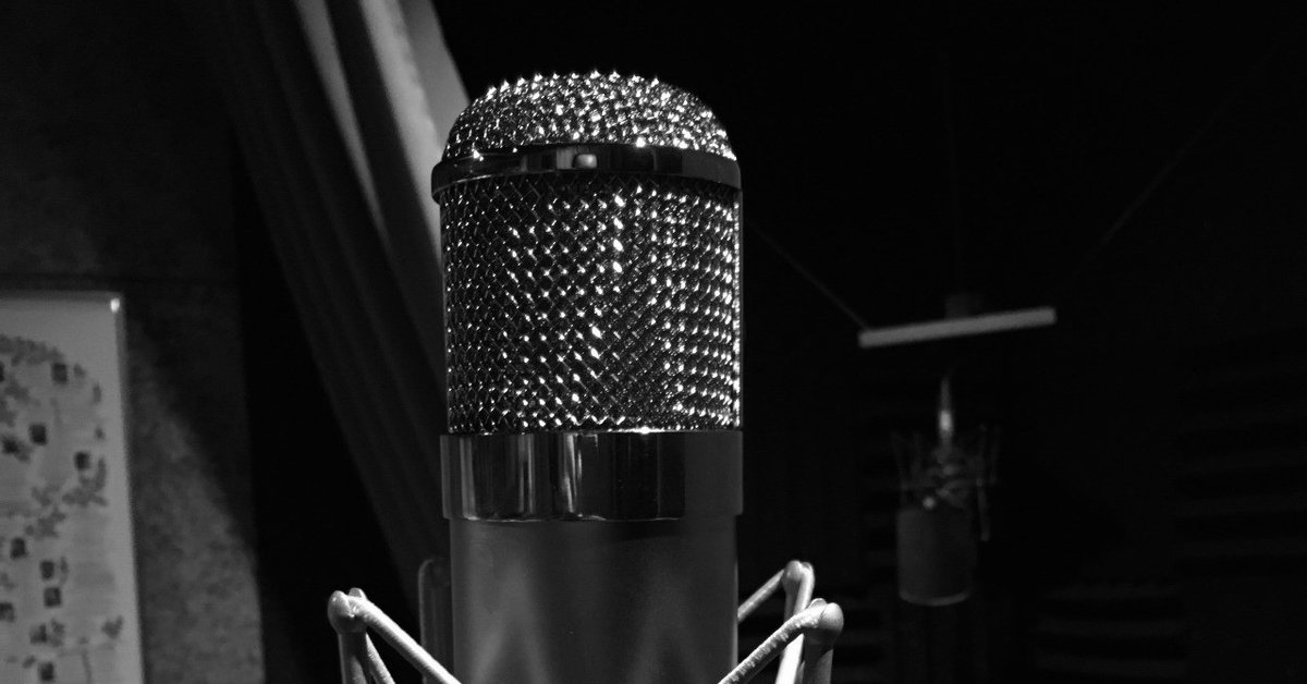 NEUMANN U47 FET Collectors Edition(国内正規品3年保証