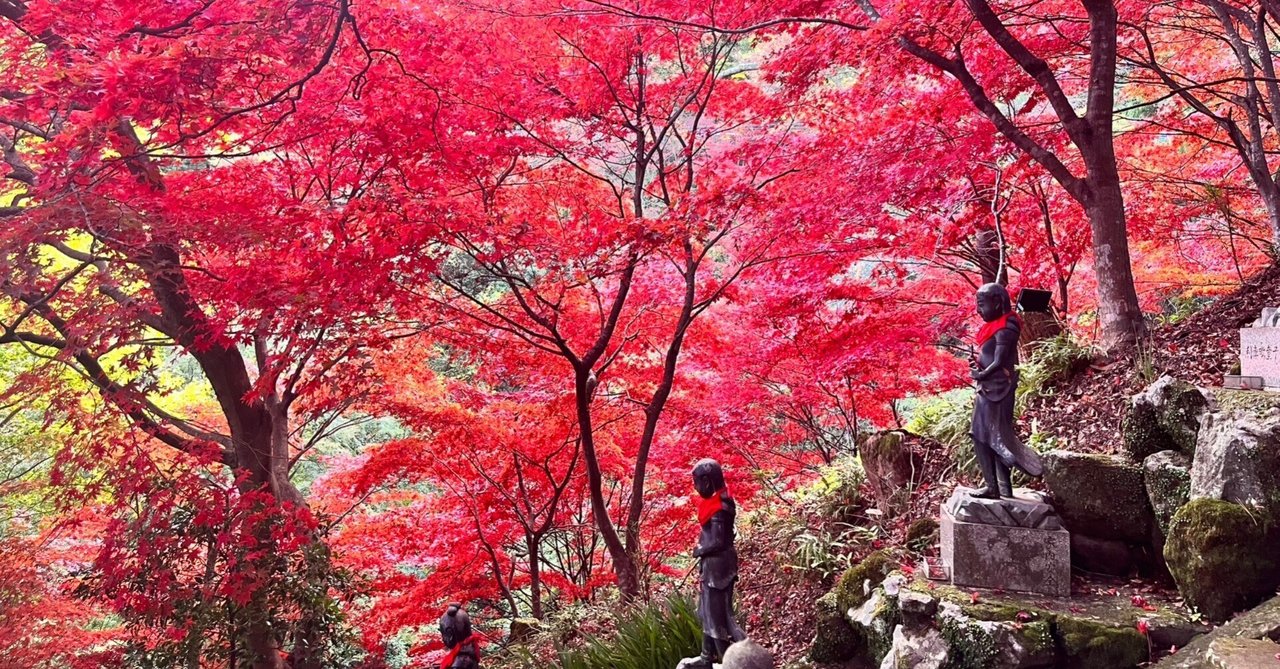 紅葉「い・ろ・は」 大切な想い出。秋 紅葉「い・ろ・は」 大切な想い出。秋