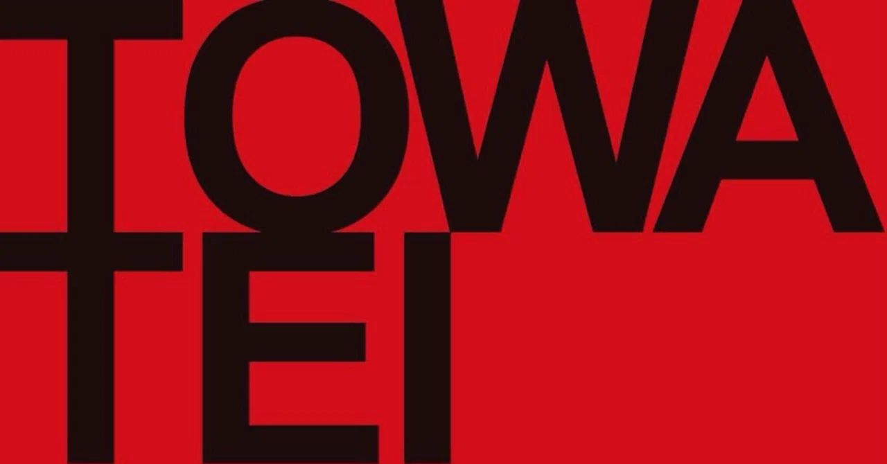 A WORK OF ART VINYL Ⅺ：TOWA TEI｜Koji