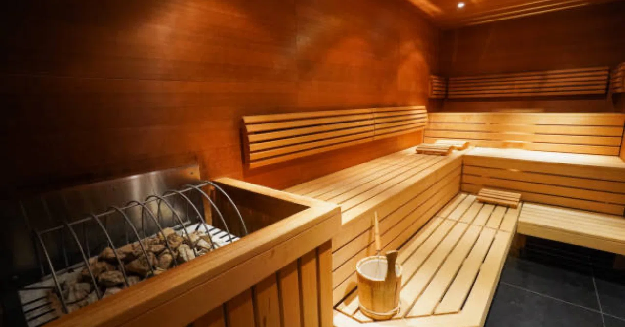 The Effects of Sauna and Stretching｜生理学 ️整形外科で読み解く整形ノート 独立理学療法士のススメ