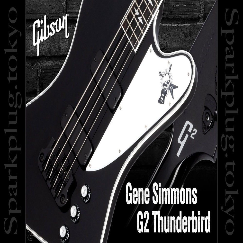ギブソンによるジーン・シモンズ・シグネイチャー・サンダーバード
