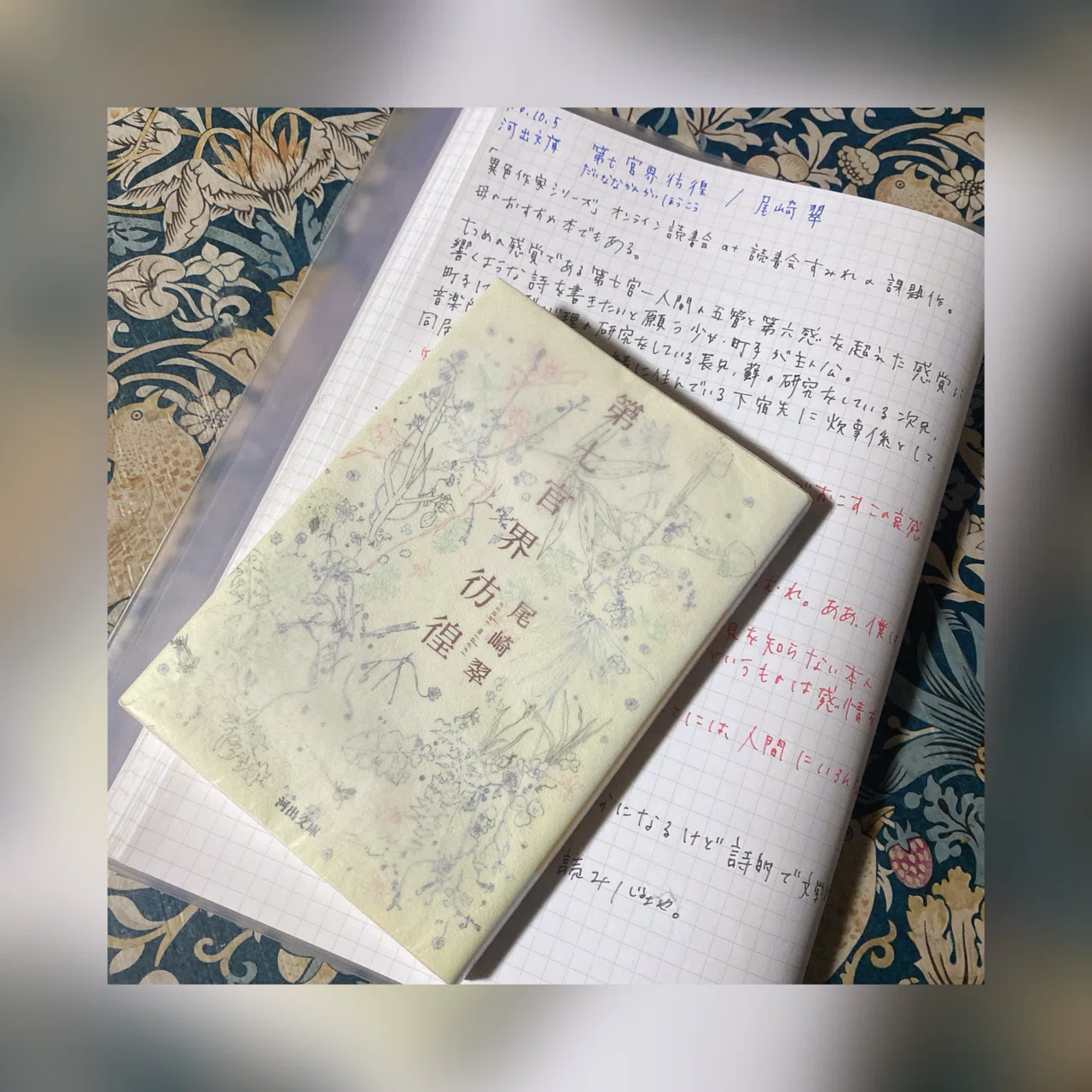 第七官界彷徨/尾崎翠｜菜穂☽︎‪︎.*·̩͙‬