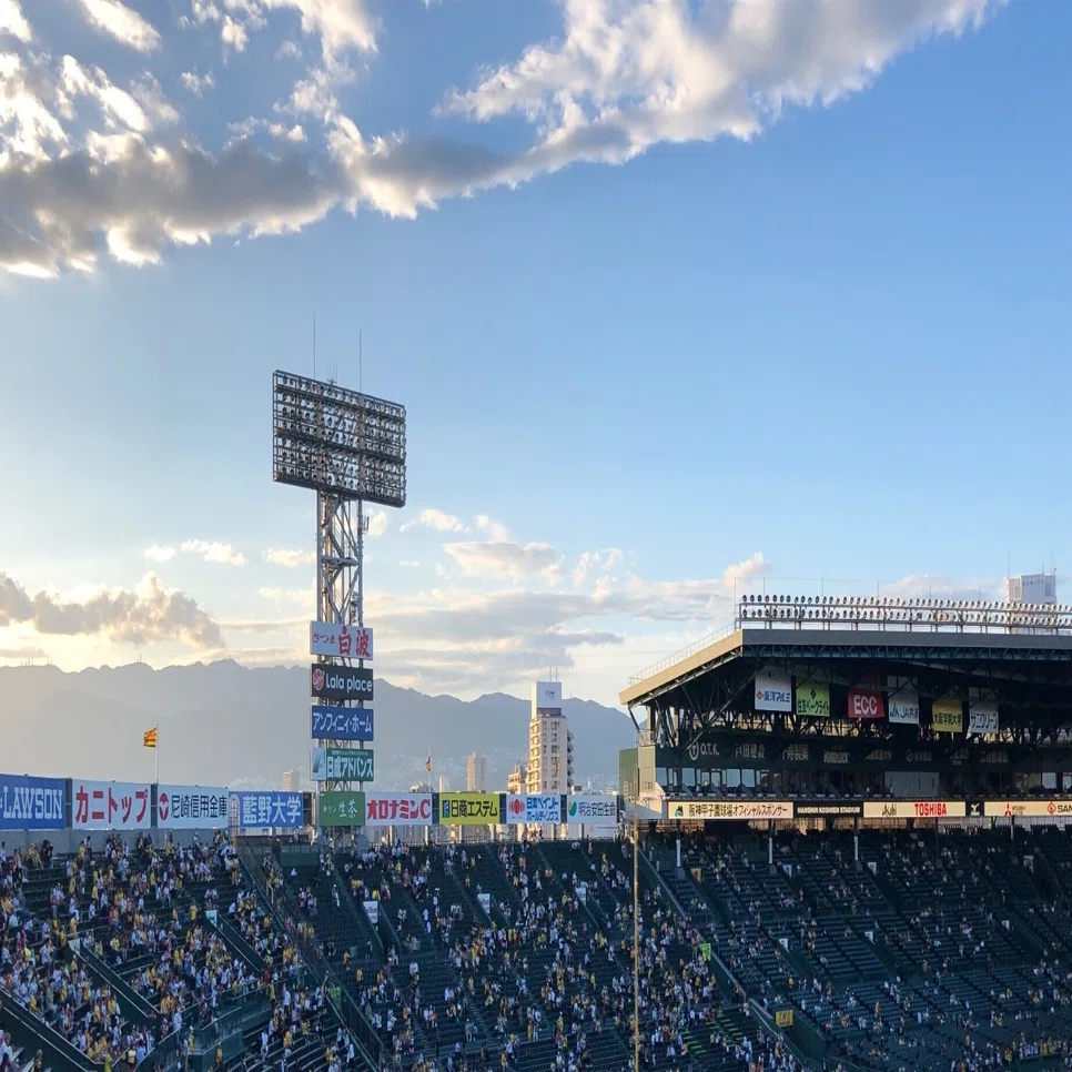 初心者向け】聖地甲子園で阪神タイガースを攻略する方法｜香月