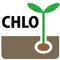 熱帯魚BAR「CHLO」（クロ）:店主