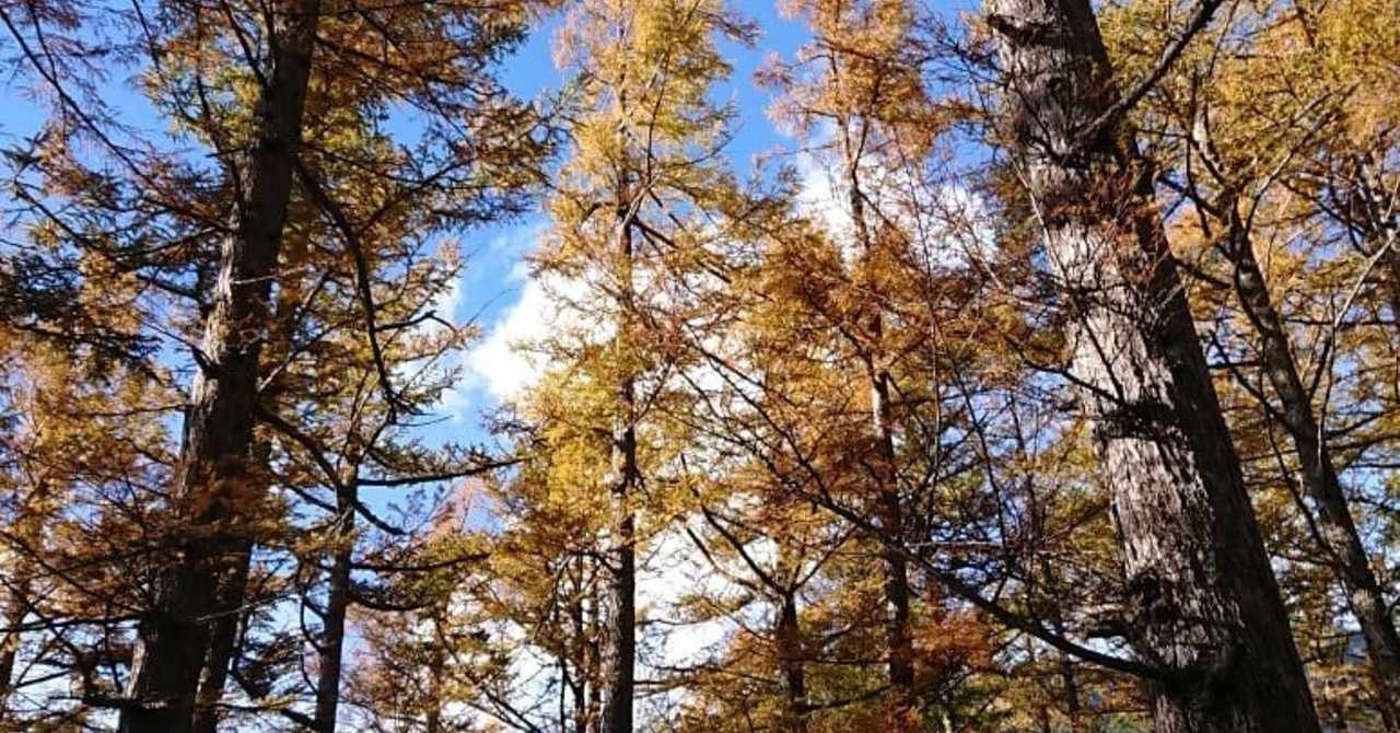 富士見台高原 の新着タグ記事一覧 Note つくる つながる とどける