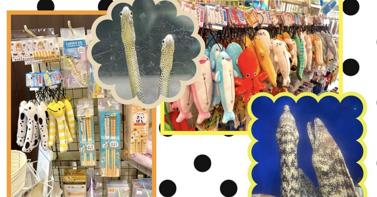 明日は「1」が4つ並ぶ日❣️❣️❣️❣️｜桂浜水族館 公式