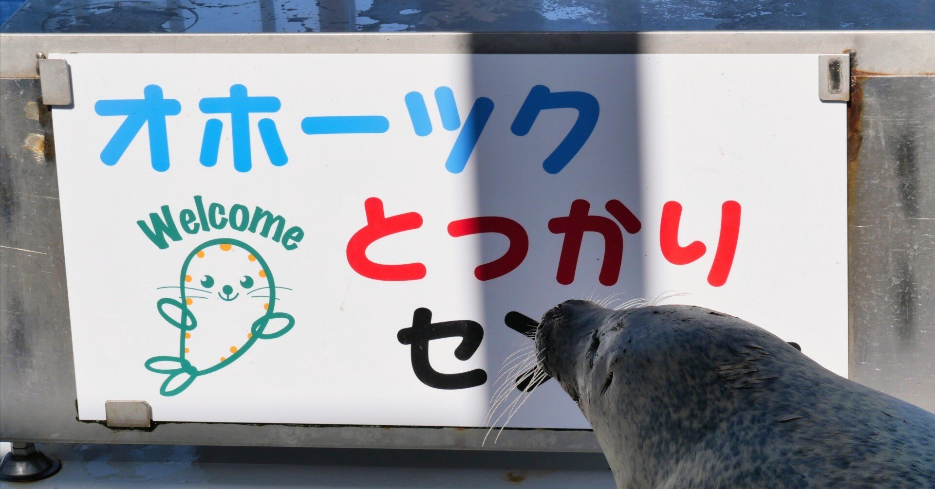 オホーツクとっかりセンター」はアザラーの桃源郷だった！｜ベッチ