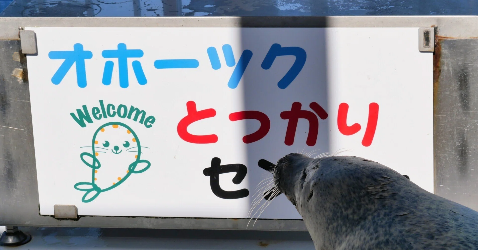 オホーツクとっかりセンター」はアザラーの桃源郷だった！｜ベッチ