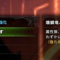 Mhw I 軽弩学 属性弾 はる Note