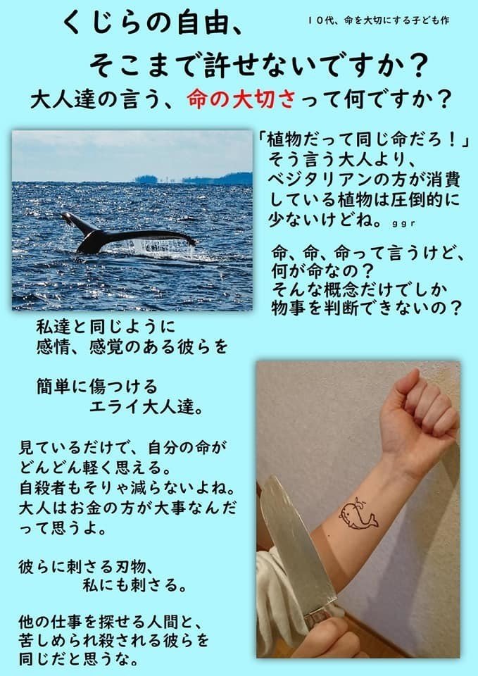 クジラの自由