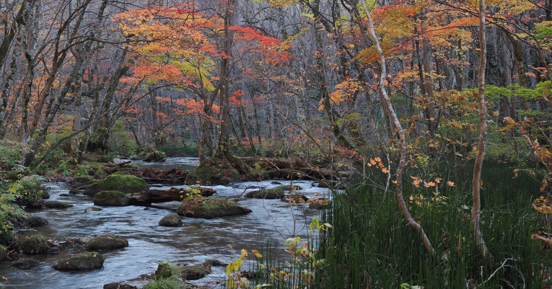 11f42625afbfe5c1fc0c355b7c1706